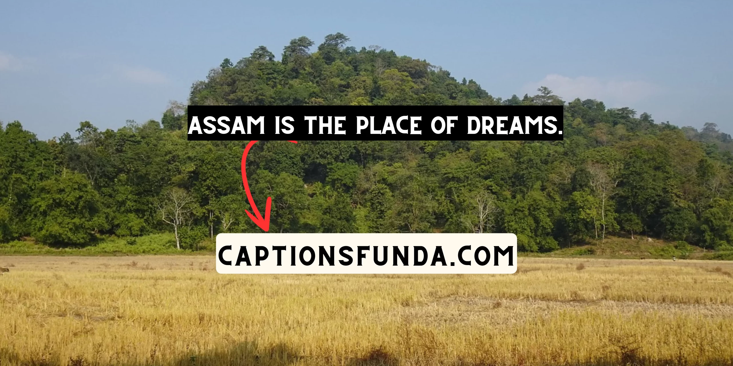 Best Assamese Captions for Instagram by CaptionsFunda
